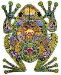 Placeholder — IAKP Overview