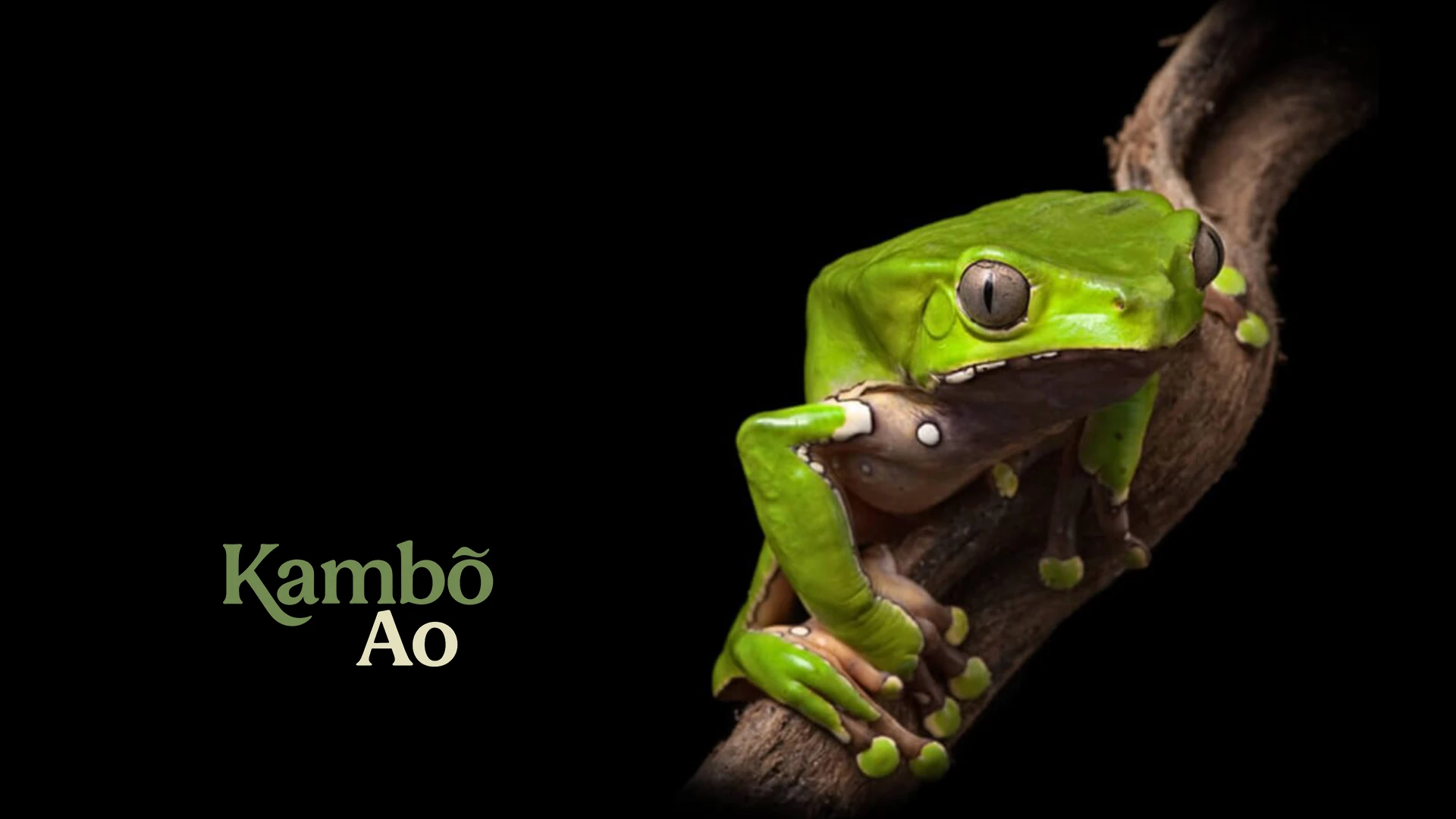 Practitioner support and standards