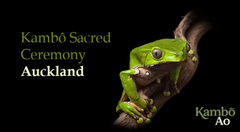 Kambo Auckland